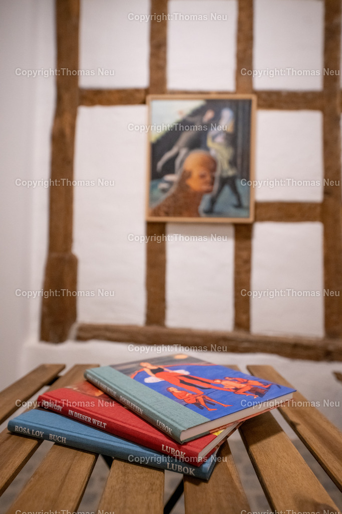 DSC_0443 | Museum der Stadt Bensheim, Finissage der Ausstellung "Rosa Loy, guest Rose Wylie - Doubletten" - 