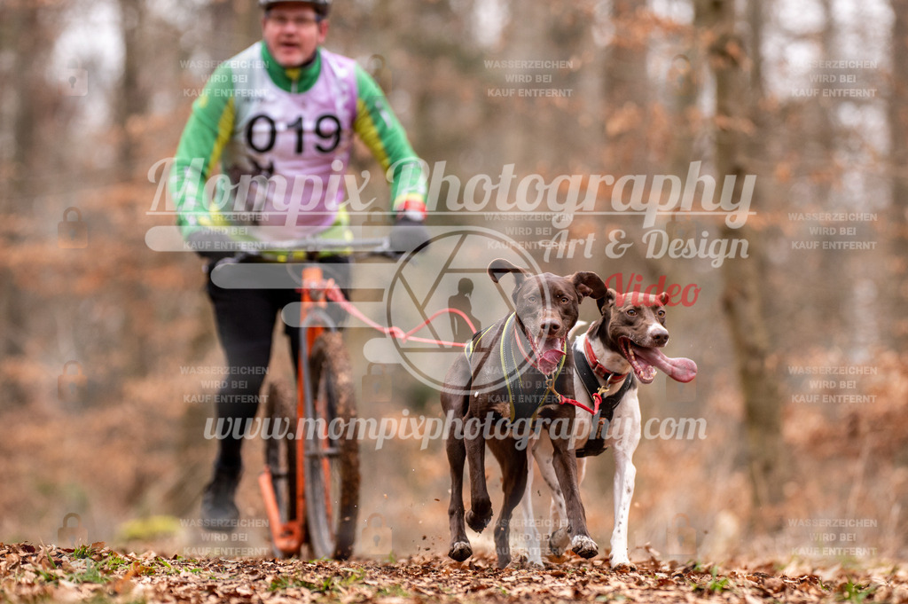 AKM_ST_2023_SAM_DS2-40 | mompixphotography