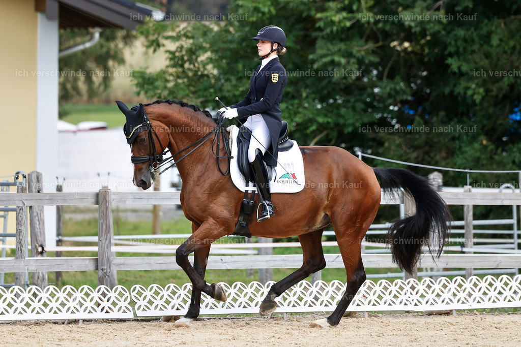 11-003-Dressur S___-StoibPH-1064 | working equitationturnier fotograf videograf stoibphotography marixx film working equitation deutschland reitsport turnierfotografie eventfotografie equestrian events