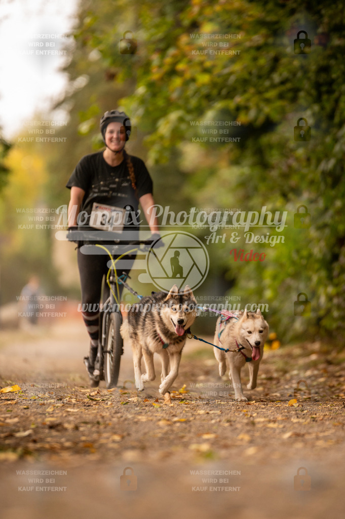 CDLBDB_14_10_2023_Samedi-41 | PayLife