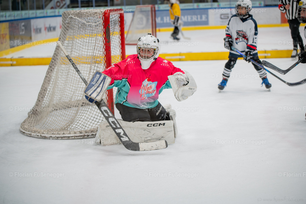 DSC_3346 | "Fussifoto.com – Ihr Ansprechpartner für hochwertige Fotografie! Entdecken Sie kreative Bilder und professionelle Dienstleistungen. Kontaktieren Sie uns für Ihre Projekte!"