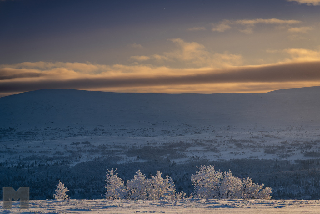 Das Tal des Tännån | Landschafts- und Tierfotografie zu allen Jahreszeiten. Und immer die Schönheit des Lichtes im Auge... - Realisiert mit Pictrs.com