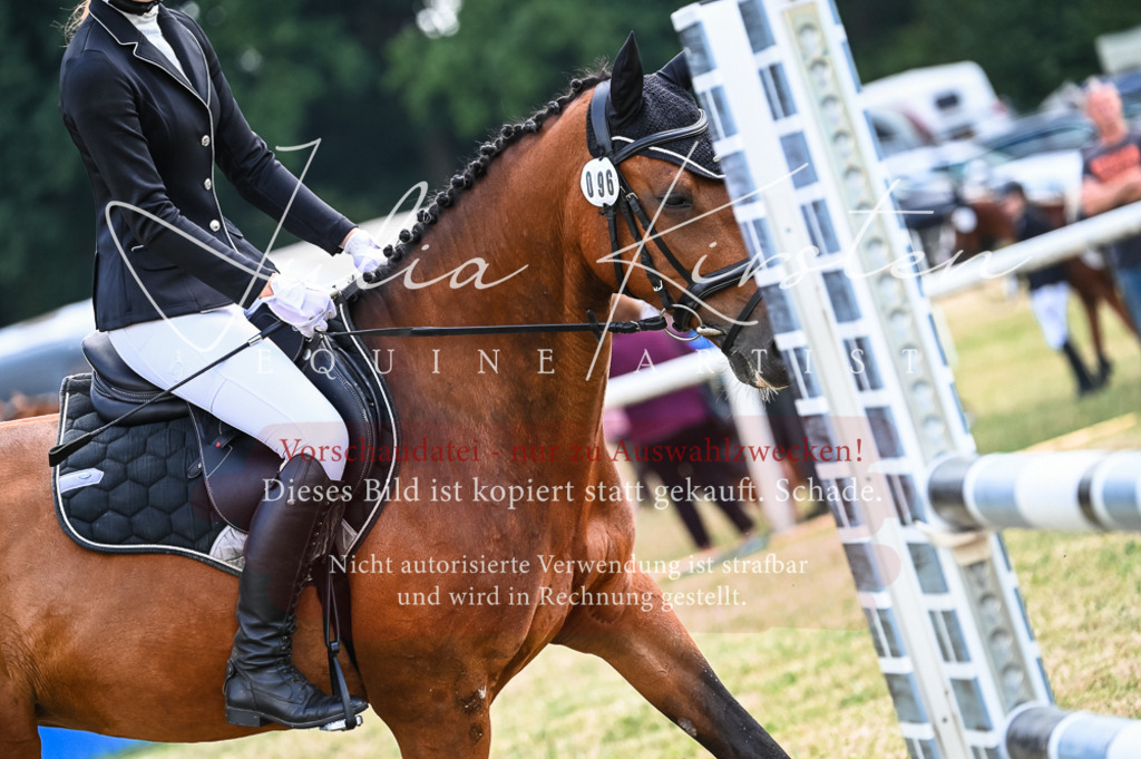 DSC_8461 | Pferde- und Turnierfotografie in Westsachsen. Pferdeportraits, Auftragszeichnungen und intuitive Kunst.