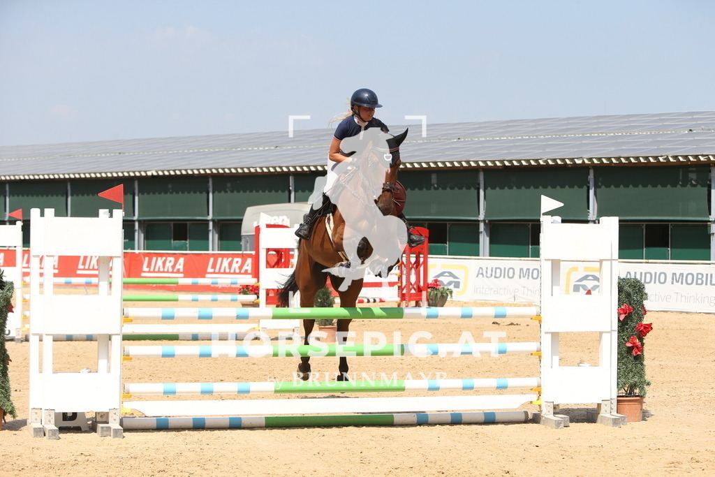 DL2Q0976 | Willkommen bei Brunnmayr - Design & Fotografie – Ihrem Spezialisten für Reitturniere und Pferdeveranstaltungen in Oberösterreich, Salzburg und Bayern! Seit über 17 Jahren sind wir leidenschaftlich dabei.