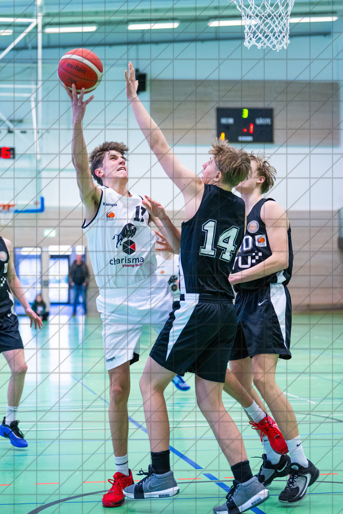 JBBL 24/25 | 12.01.2025 | Charisma Young Bulls vs. Northwestern Basketball Academy | JBBL 24/25 | 12.01.2025 | Charisma Young Bulls vs. Northwestern Basketball Academy - - - - - CREDIT, www.bullenfotos.de, Martin König, Hörner Weg 40, D-49078 Osnabrück, +4917663732967, Nutzung und Weitergabe nur zu den vereinbarten Zwecken. Presseanfragen an Urheber. Alle Rechte beim Urheber. - - - - - - Realisiert mit Pictrs.com