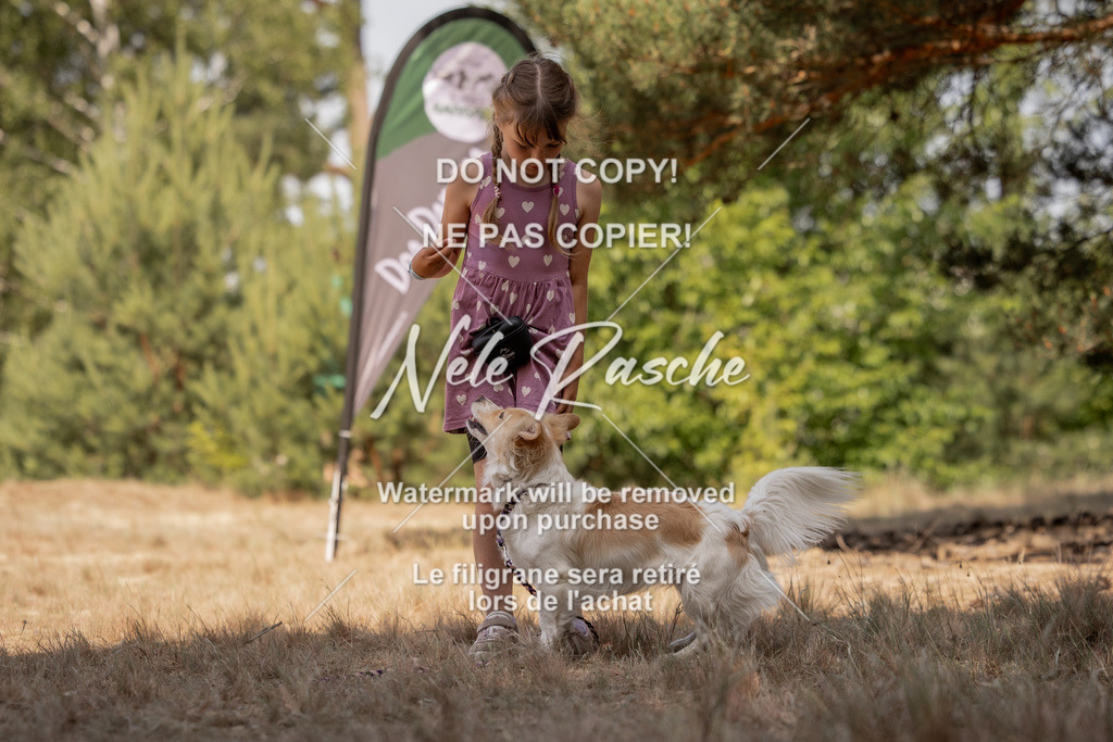 nelerasche_soDD2_291 | nelerasche