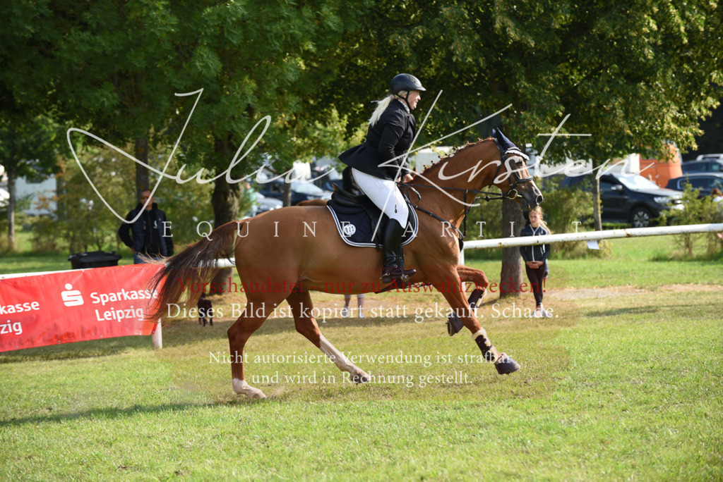 DSC_8711 | Pferde- und Turnierfotografie in Westsachsen. Pferdeportraits, Auftragszeichnungen und intuitive Kunst.
