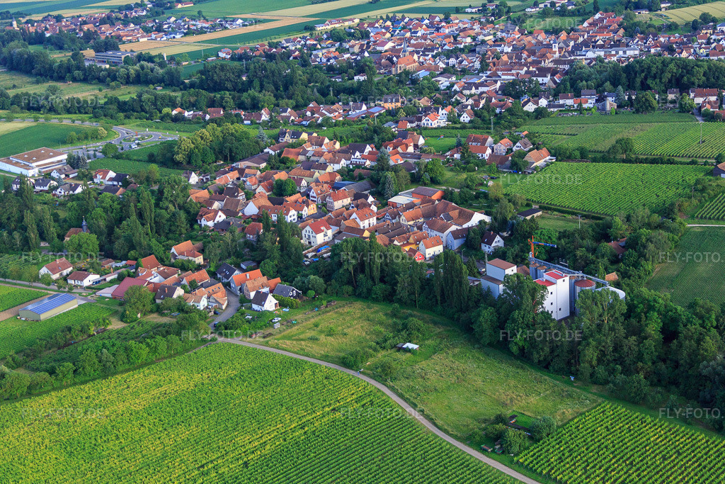 Luftbild: Ortsansicht von Nordwesten mit Bischoff-Mühle im Ortsteil Appenhofen in Billigheim-Ingenheim im Bundesland Rheinland-Pfalz in Deutschland. Foto: IMG_090200.jpg vom 26.06.2016 durch Werner Riehm/FLY-FOTO.deBischoff Mühle