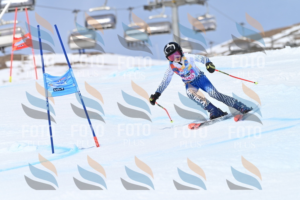 BGV_3540 | holidayphoto