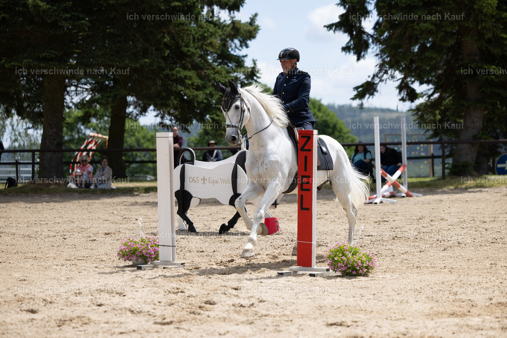 Masterclass_stoibphotography_C2_C8631.CR3 | working equitationturnier fotograf videograf stoibphotography marixx film working equitation deutschland reitsport turnierfotografie eventfotografie equestrian events