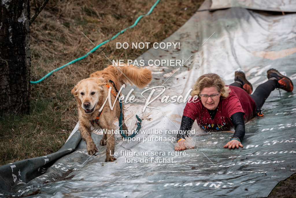 nelerasche_1330-1400_230 | nelerasche