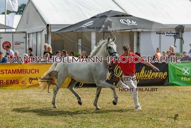 26-8-22 Gemischt-53 | mandyhollmannphotographie