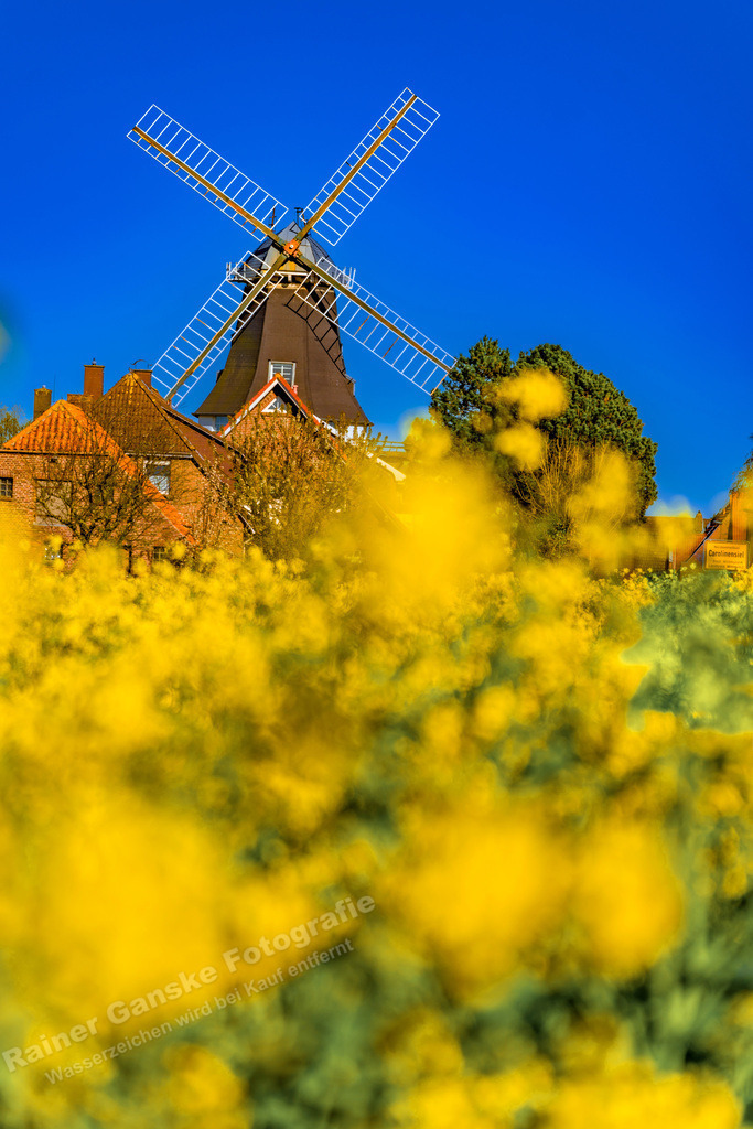 076 Carolinensiel - 30-04-2023 -R Ganske | Onlineshop mit Bildern von Stränden, Häfen und Meer. Leinwände, Poster, Kalender und andere Materialien erhältlich. Kommerzielle Lizenzen möglich.  - Realisiert mit Pictrs.com