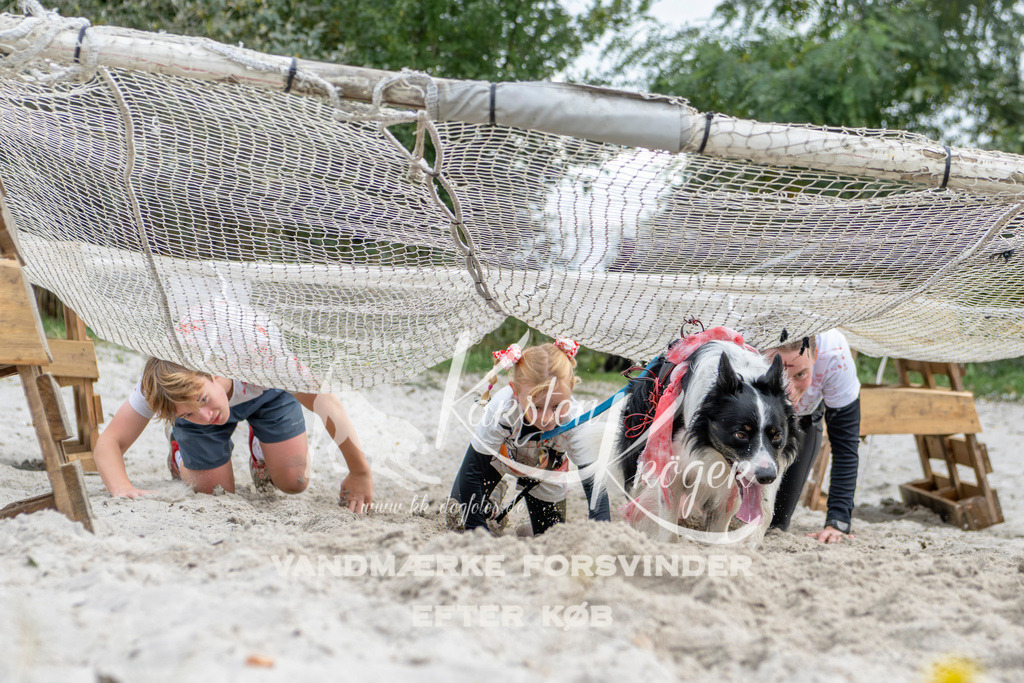 1528_ZZ95331 | kk-dogfotos