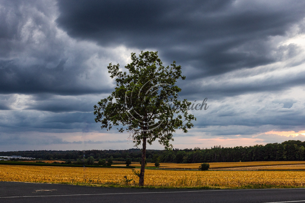 2023_07_20_9999 | Frank Herberich Fotografie, Frank Herberich, Fotografie, Hochzeit, Portrait, St. Peter Ording, Ording, Westerhever, Nordsee, Frank Fotografie, Hardheim,  Odenwald,Walldürn, Band,Eventfotografie - Realisiert mit Pictrs.com
