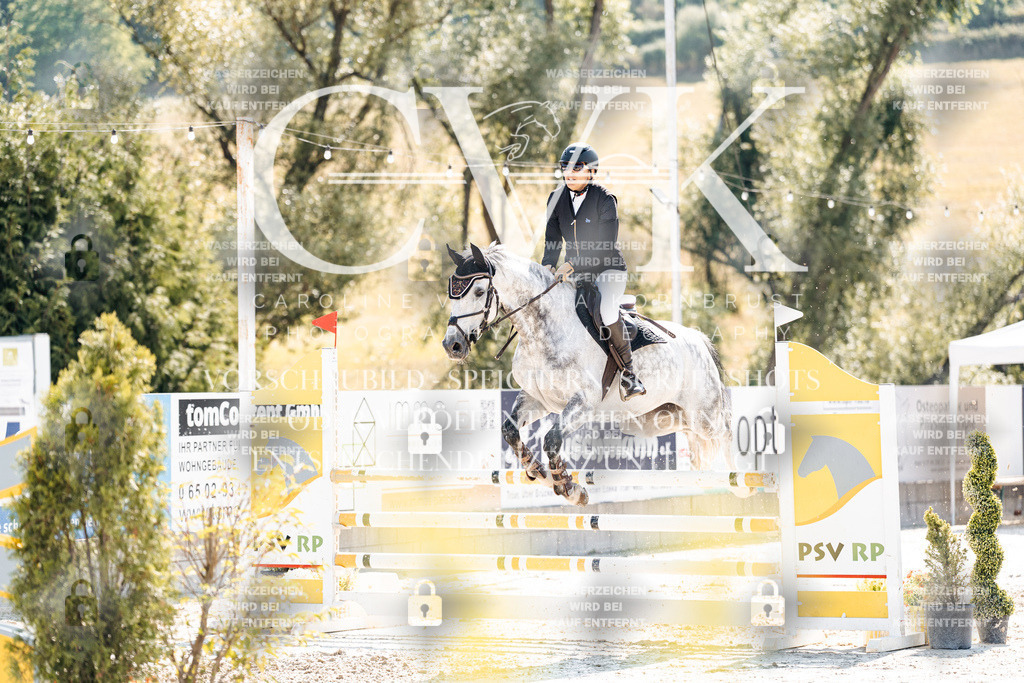 CK908208 | Turnierfotografie Pferdefotografie Trier Rheinland-Pfalz Pferdesport Reitsport Tierfotografie Sportfotografie Pferdevideo Pferdevideografie Equestrianvideography equestrianphotography  - Realisiert mit Pictrs.com