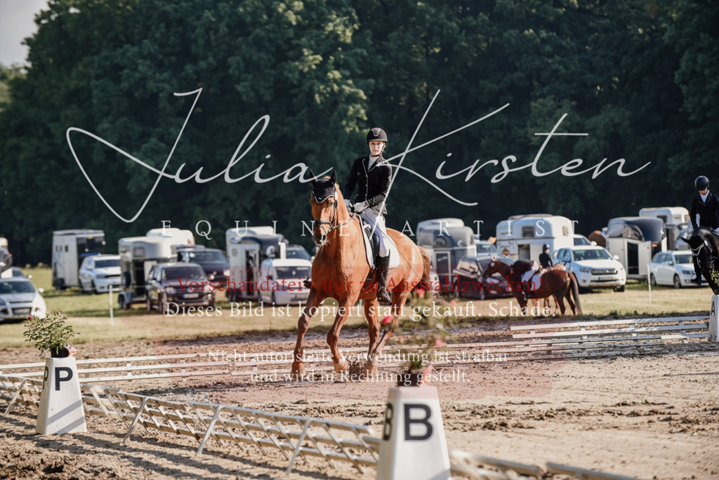 DSC_7739 | Pferde- und Turnierfotografie in Westsachsen. Pferdeportraits, Auftragszeichnungen und intuitive Kunst.