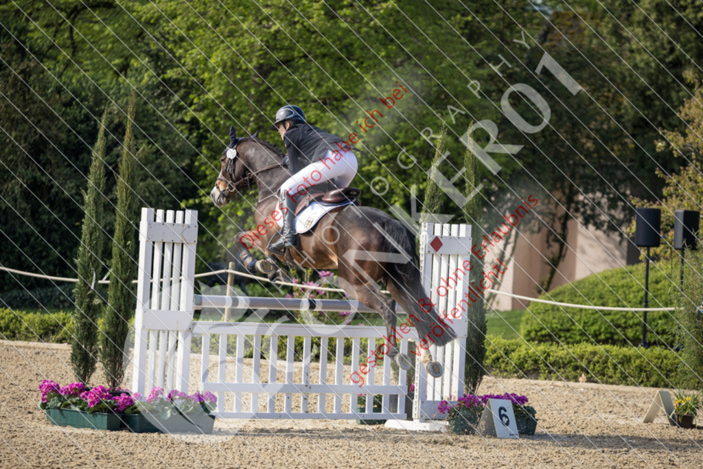 CON_0250 | Sport-, Event- und Tierfotos in Profiqualität. Einfach auswählen, bestellen und herunterladen. Dein Moment – perfekt festgehalten.