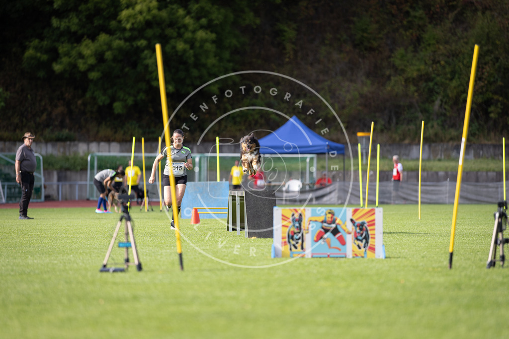 Pfotenfotografie_DV3A1848 | Hundefotografie, Tierfotograf, Pfotenfotografie, Fotoshooting Hund, Hunde Portrait, Hundesport, Hundeportraits, Heideshooting, Hunde, Sportfotograf, Hundefotograf, Turnierhundsport, THS,  - Realisiert mit Pictrs.com