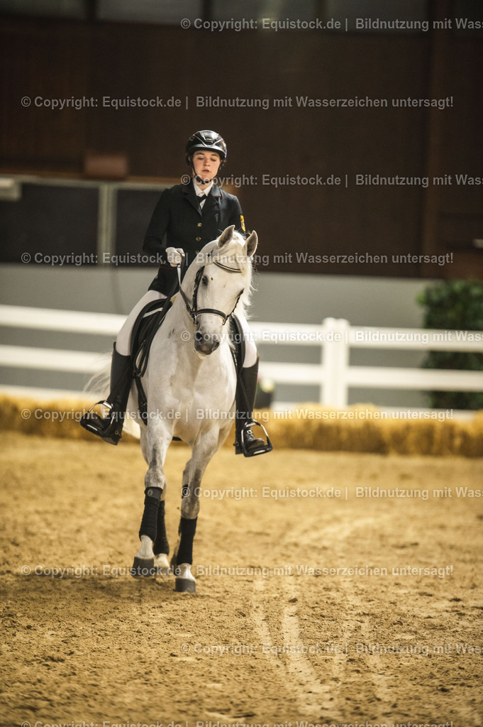 20240302_Hengstvorstellung_Marbach_TOMsPiC_1005 | equistock