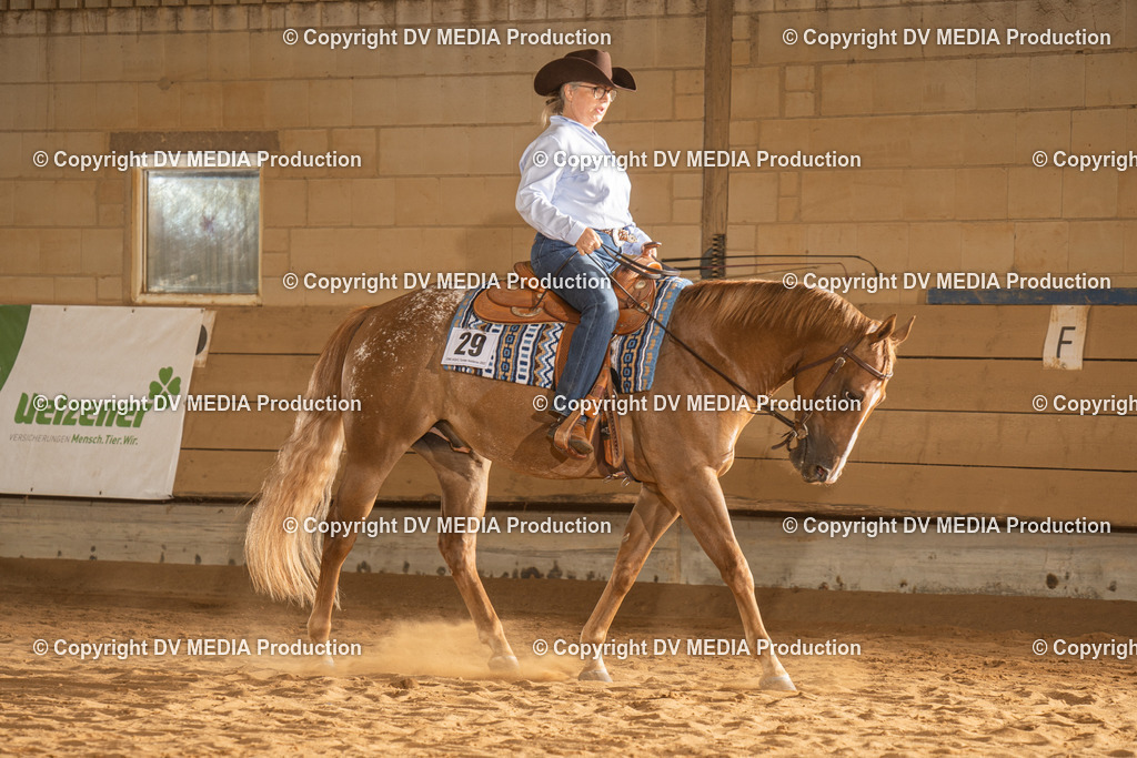 NID02596 | dv-media-shop - Realisiert mit Pictrs.com