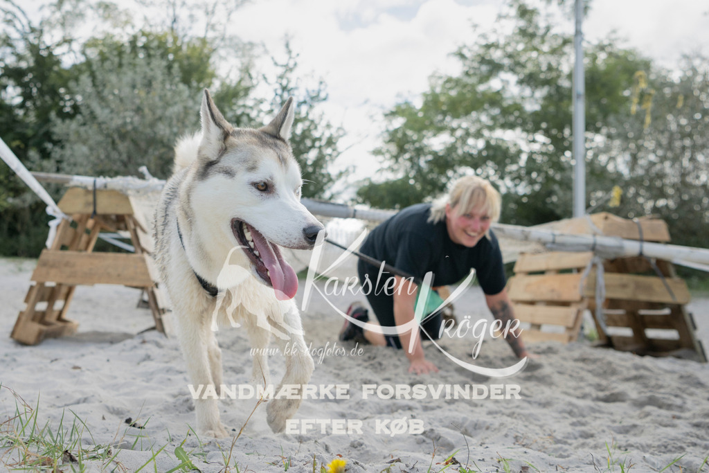 1330_ZZ97434 | kk-dogfotos