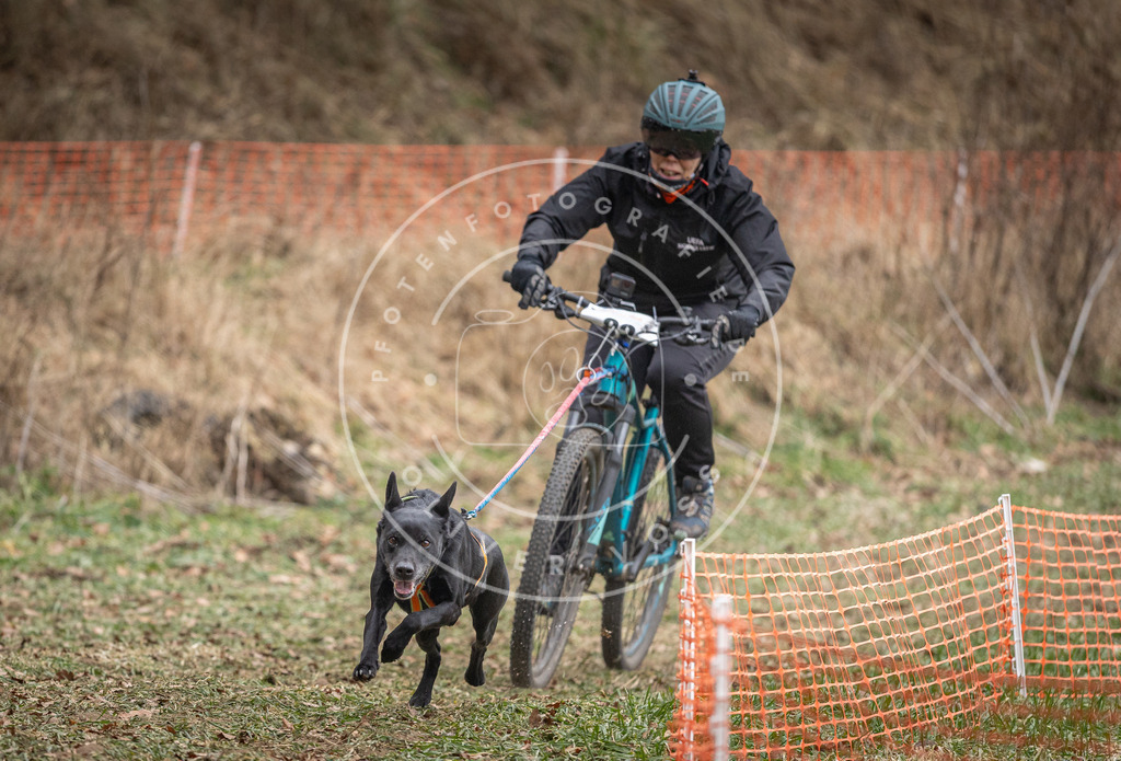 Pfotenfotografie_DV3A5600 | Hundefotografie, Tierfotograf, Pfotenfotografie, Fotoshooting Hund, Hunde Portrait, Hundesport, Hundeportraits, Heideshooting, Hunde, Sportfotograf, Hundefotograf, Turnierhundsport, THS,  - Realisiert mit Pictrs.com
