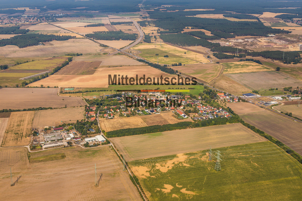 15_Mose-2552 | Mose - Realisiert mit Pictrs.com