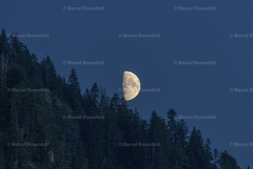 _DSC2139 | foto-rosenfeld