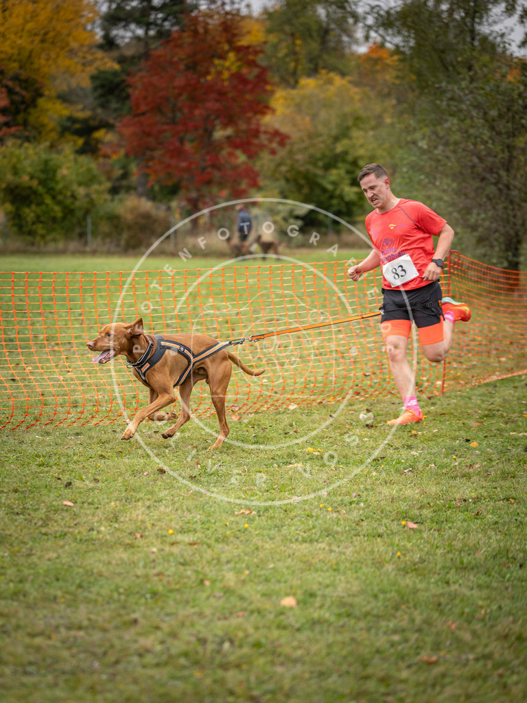 Pfotenfotografie_DV3A3107 | Hundefotografie, Tierfotograf, Pfotenfotografie, Fotoshooting Hund, Hunde Portrait, Hundesport, Hundeportraits, Heideshooting, Hunde, Sportfotograf, Hundefotograf, Turnierhundsport, THS,  - Realisiert mit Pictrs.com