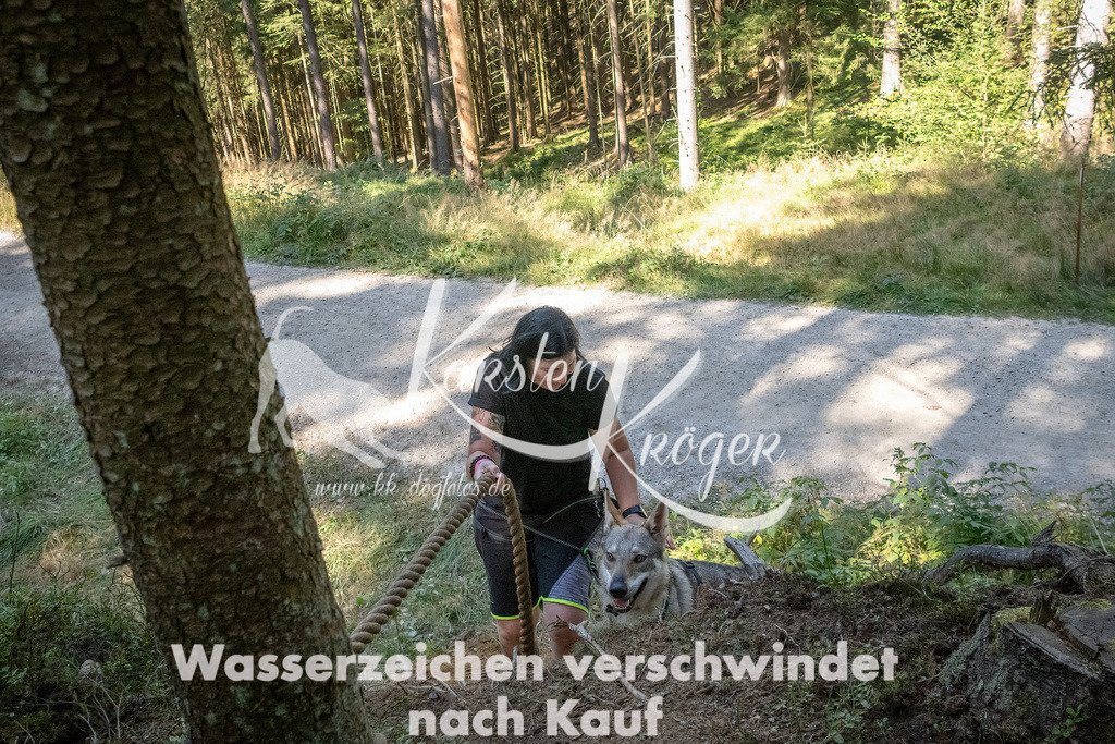 1225_ZZ94454 | kk-dogfotos