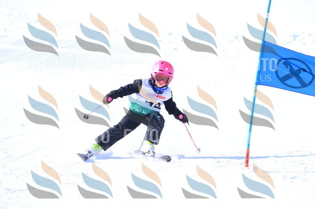 B6629 | holidayphoto