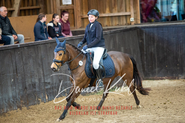 IMG_1786 | Turniersportfotografie; Pferdefotografie; Dressurfotografie