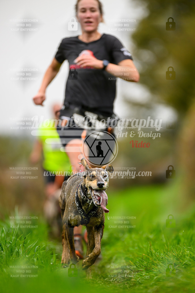 MompixPhotography_20TSB_E8_Run-130 | PayLife
