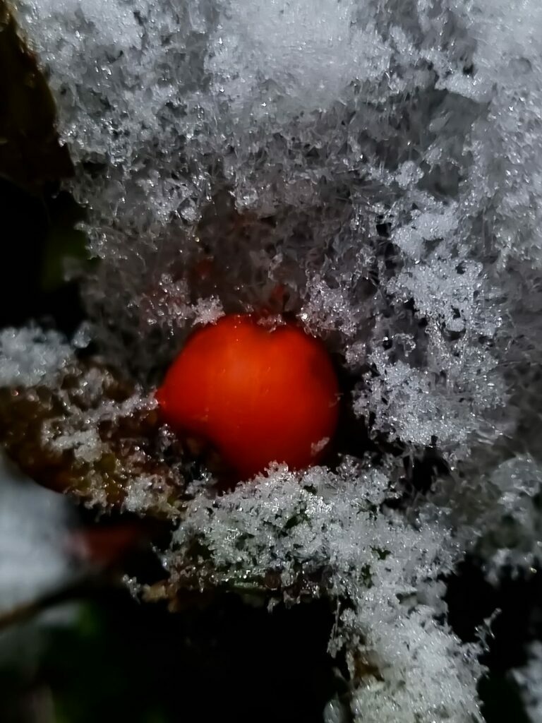 PSX_20221210_223539 | mtkfoto_ - Realisiert mit Pictrs.com