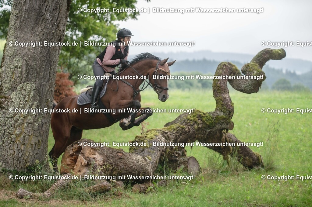 20250726_Vielseitigkeitslehrgang-Marbach_0304 | Foto: Thomas Hartig