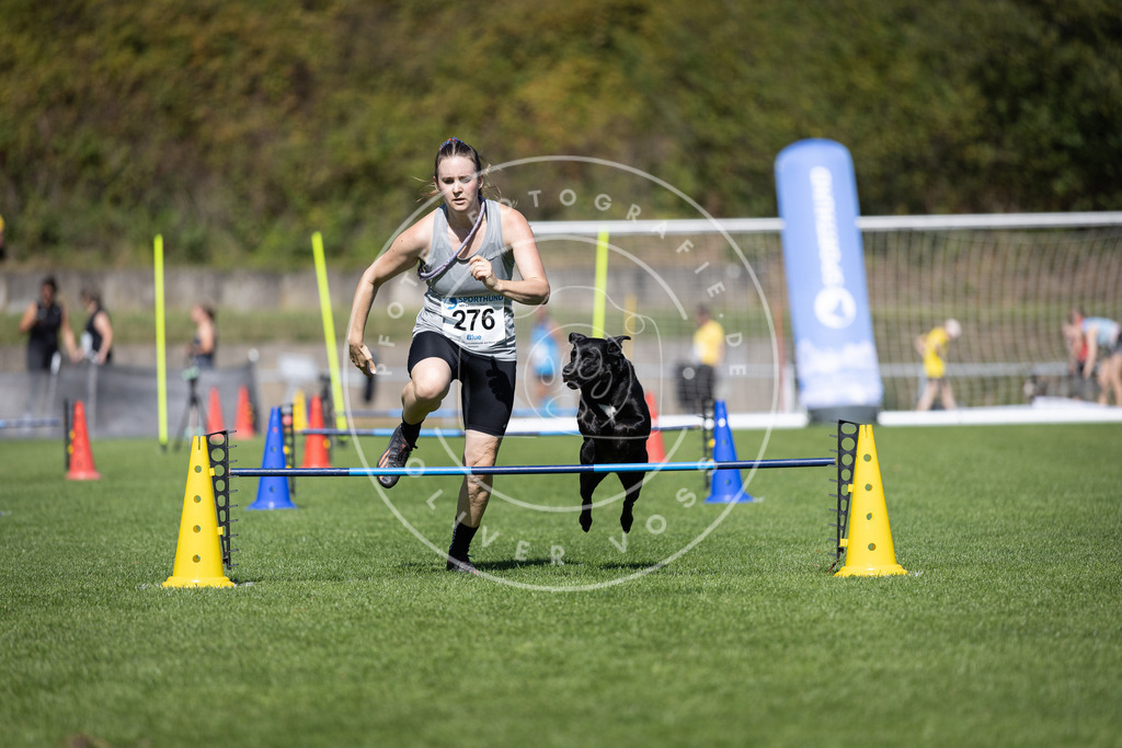 Pfotenfotografie_DV3A6980 | Hundefotografie, Tierfotograf, Pfotenfotografie, Fotoshooting Hund, Hunde Portrait, Hundesport, Hundeportraits, Heideshooting, Hunde, Sportfotograf, Hundefotograf, Turnierhundsport, THS,  - Realisiert mit Pictrs.com