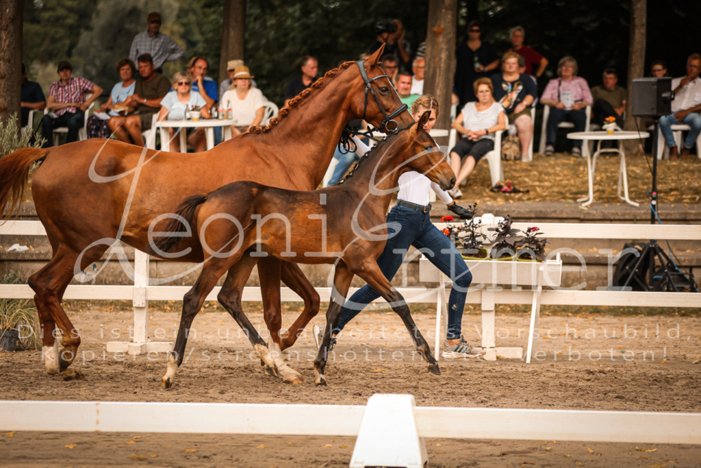 SaPA00306 | Leoni Ertmer Photography - Realisiert mit Pictrs.com