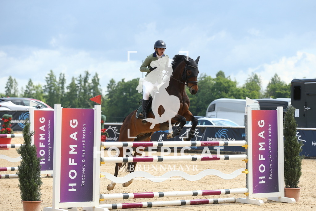 DL2Q1427 | Willkommen bei Brunnmayr - Design & Fotografie – Ihrem Spezialisten für Reitturniere und Pferdeveranstaltungen in Oberösterreich, Salzburg und Bayern! Seit über 17 Jahren sind wir leidenschaftlich dabei.