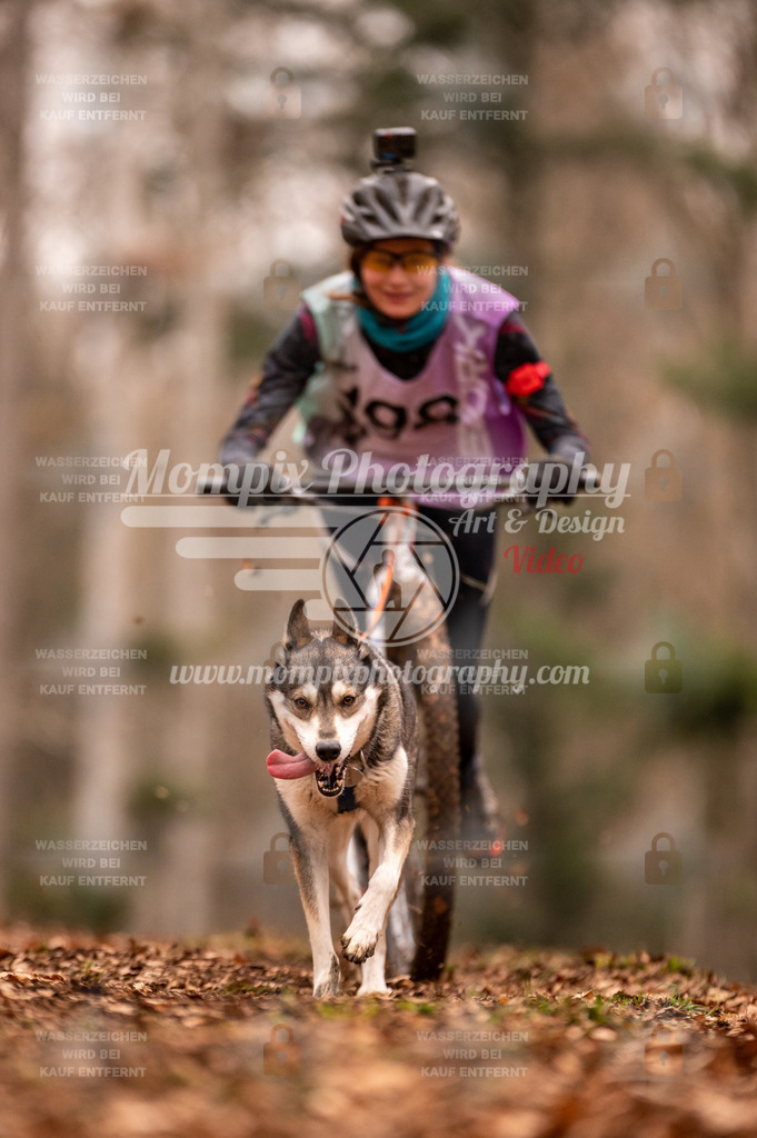 AKM_ST_2023_SAM_Scooter-87 | PayLife
