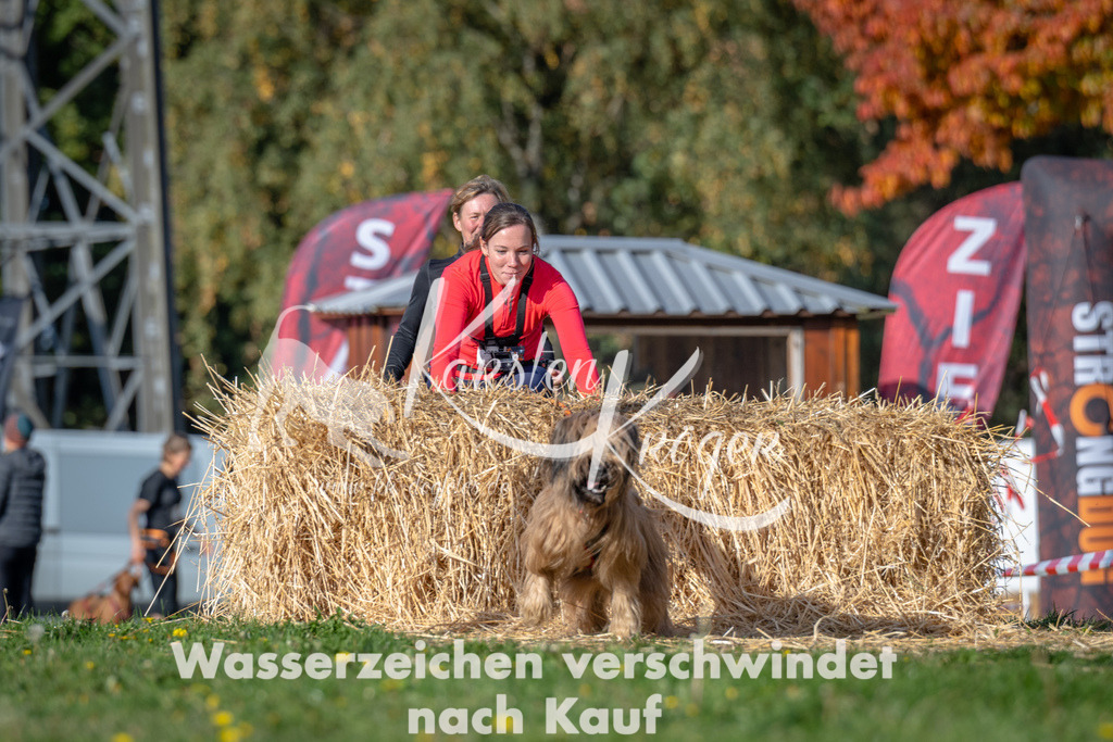 1025_ZZ90139 | kk-dogfotos