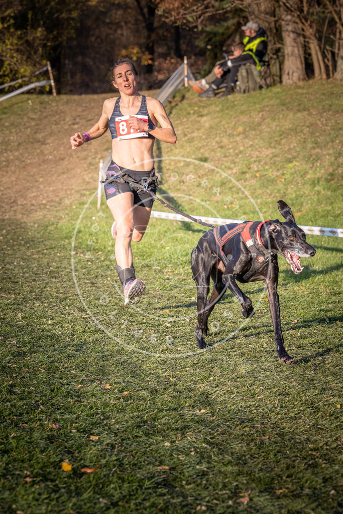 CaniXpix_0L8A0484 | Hundefotografie, Tierfotograf, Pfotenfotografie, Fotoshooting Hund, Hunde Portrait, Hundesport, Hundeportraits, Heideshooting, Hunde, Sportfotograf, Hundefotograf, Turnierhundsport, THS,  - Realisiert mit Pictrs.com