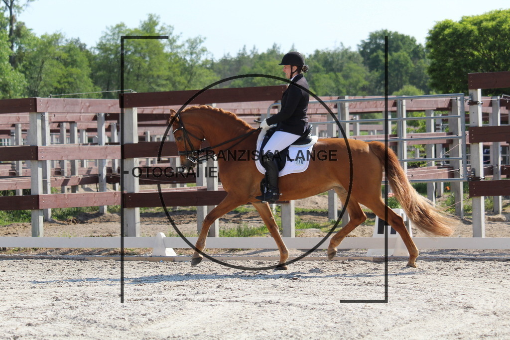 IMG_2678 | franziskalange - Realisiert mit Pictrs.com