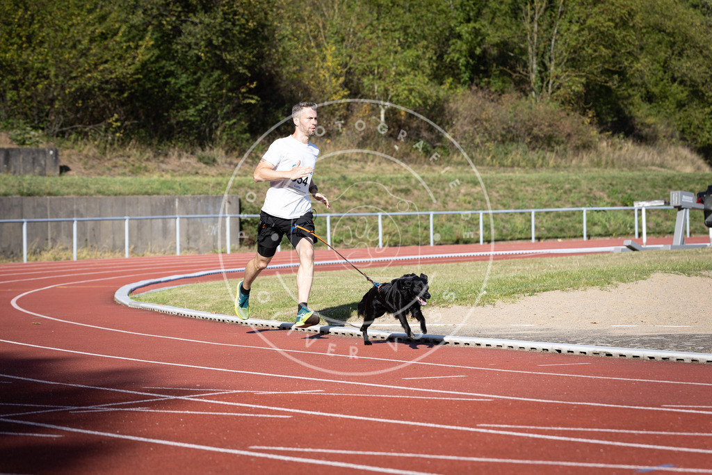 Pfotenfotografie_DV3A9719 | Hundefotografie, Tierfotograf, Pfotenfotografie, Fotoshooting Hund, Hunde Portrait, Hundesport, Hundeportraits, Heideshooting, Hunde, Sportfotograf, Hundefotograf, Turnierhundsport, THS,  - Realisiert mit Pictrs.com
