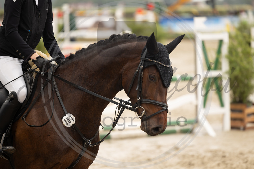 994A0258 | sabrinanicolaifotografie - Realisiert mit Pictrs.com