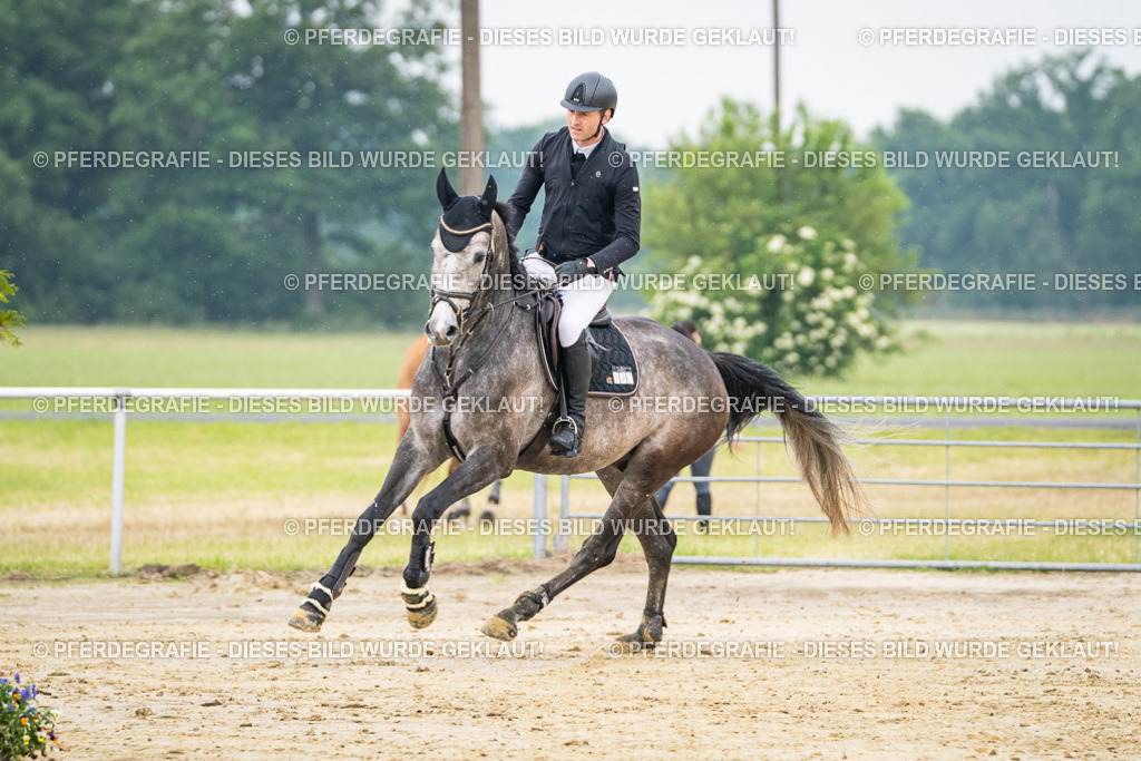 DSC09650 | Pferdegrafie