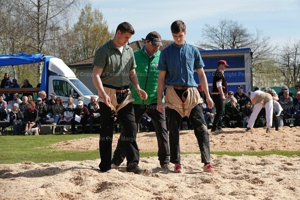 k-DSC03022 | Schwingen - Realisiert mit Pictrs.com