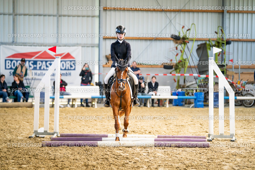 DSC01458 | Pferdegrafie