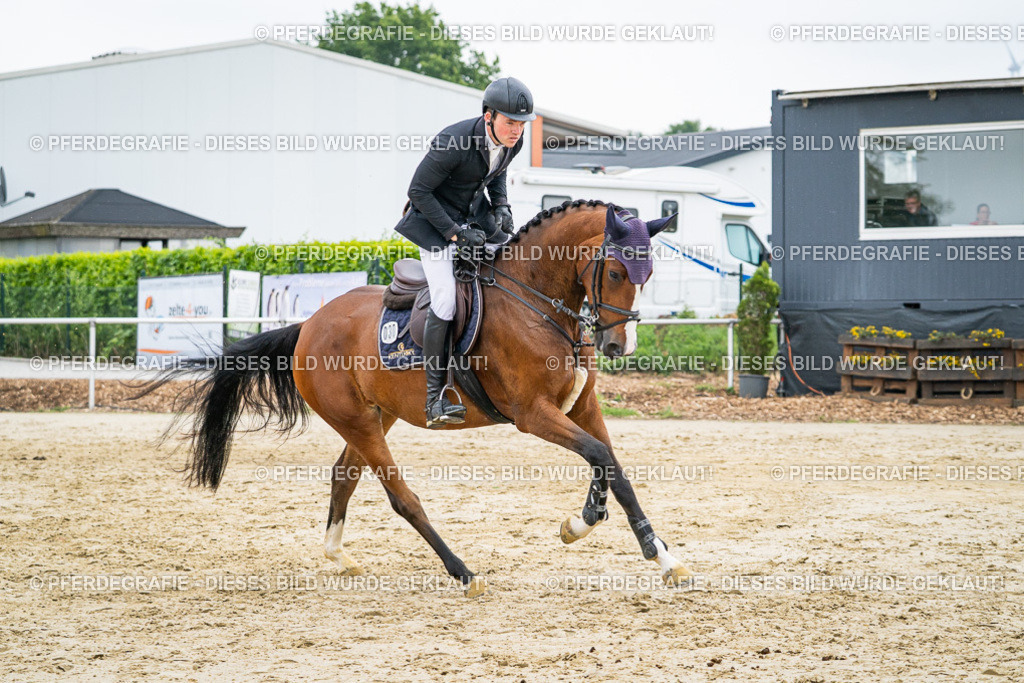 DSC00571 | Pferdegrafie