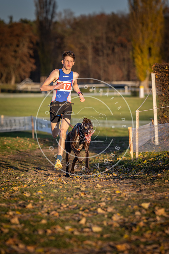 CaniXpix_DV3A4859 | Hundefotografie, Tierfotograf, Pfotenfotografie, Fotoshooting Hund, Hunde Portrait, Hundesport, Hundeportraits, Heideshooting, Hunde, Sportfotograf, Hundefotograf, Turnierhundsport, THS,  - Realisiert mit Pictrs.com